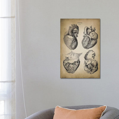 Heart Anatomy by PatentPrintStore - Wrapped Canvas Print