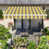 Yellow-Stripe