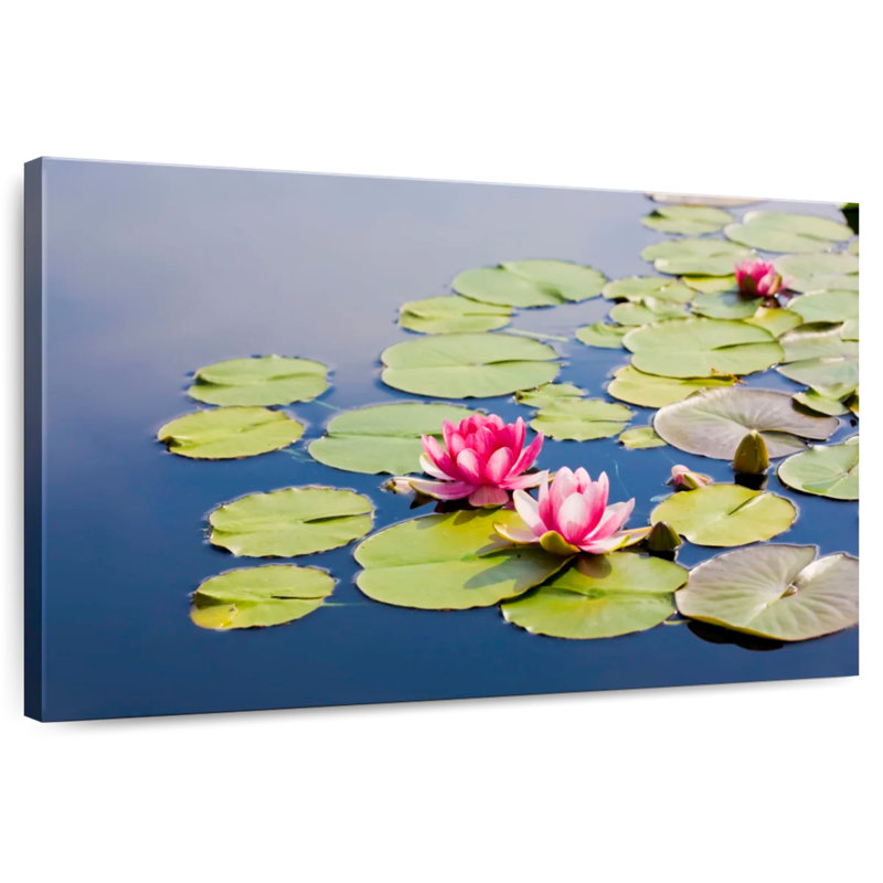 Harnek Sunny Water Lilies, 8" H x 12" W