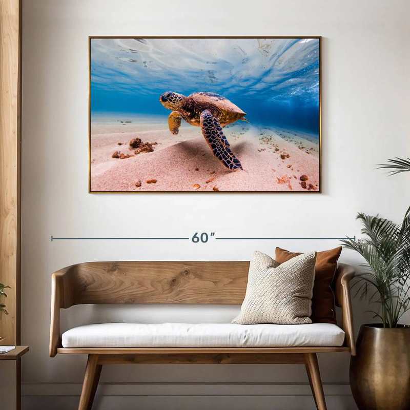 Sandy Turtle, 46" X 31", Floating Frame Gold