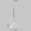 Ensemble de 2 luminaires suspendus industriels Dileo-1085966419-1135897201-1291021000