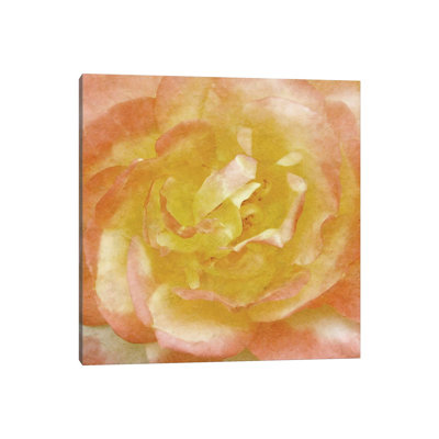 Wall Flower I by Alonzo Saunders - Wrapped Canvas Print
