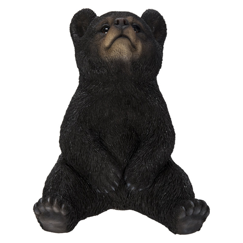 Sitting Bear Cub with Head up