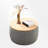 Mylo Single Coffee Table-1312959305-1213687867
