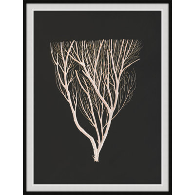 Timeless Relic 3 Print