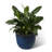 15.25"D Set Of 2 Honeycomb Textured Green Faux Ceramic Pot Plastic Planter-1192810080
