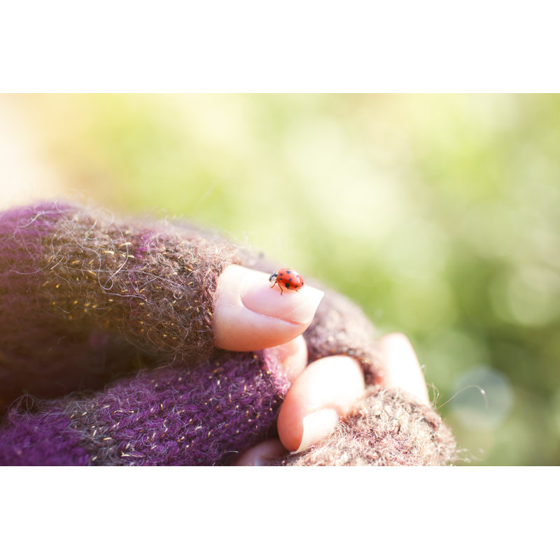 Ladybug On Female Finger by Portishead1 - No Frame Art Prints on Canvas, 81cm H x 122cm W