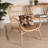 Rollison 28.7'' Wide Rattan Armchair