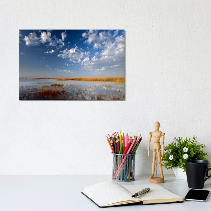 Marsh, Padre Island National Seashore, Texas by Tim Fitzharris - Wrapped Canvas Print, 20.32 cm H x 30.48 cm W