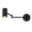 Iron Swing Arm Sconce