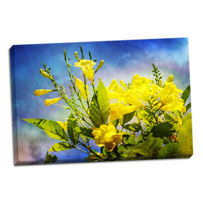 « fleurs on aquarelle ii », impression