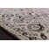 Aparicio Oriental Indoor Rug