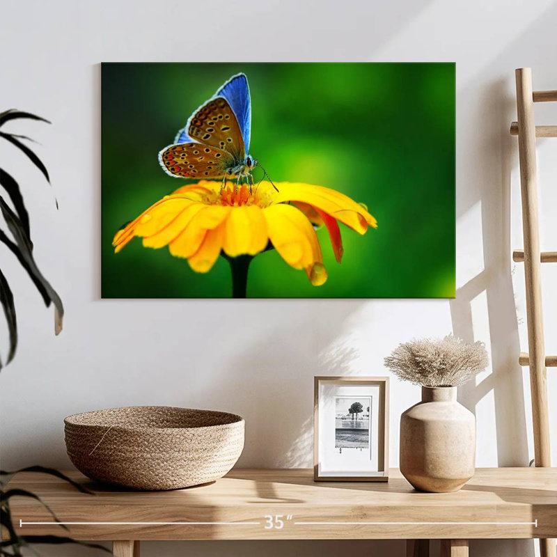 Brampt Blue Butterfly Splendor, 16" H x 24" W