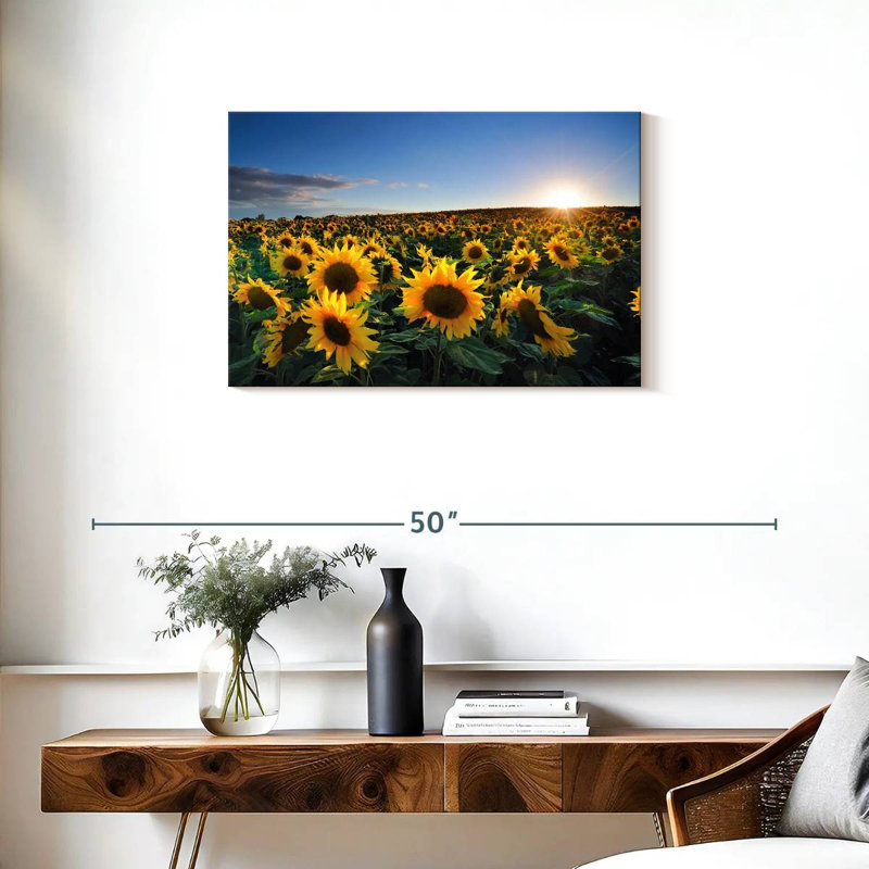 Lever de soleil sur le champ de tournesols d'Alvord, H 20 po x l 30 po