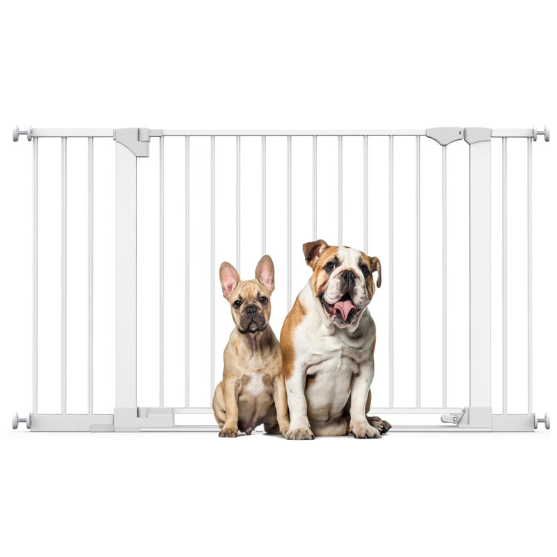 Metal Pressure Mounted Pet Gate, White, 138cm - 145cm
