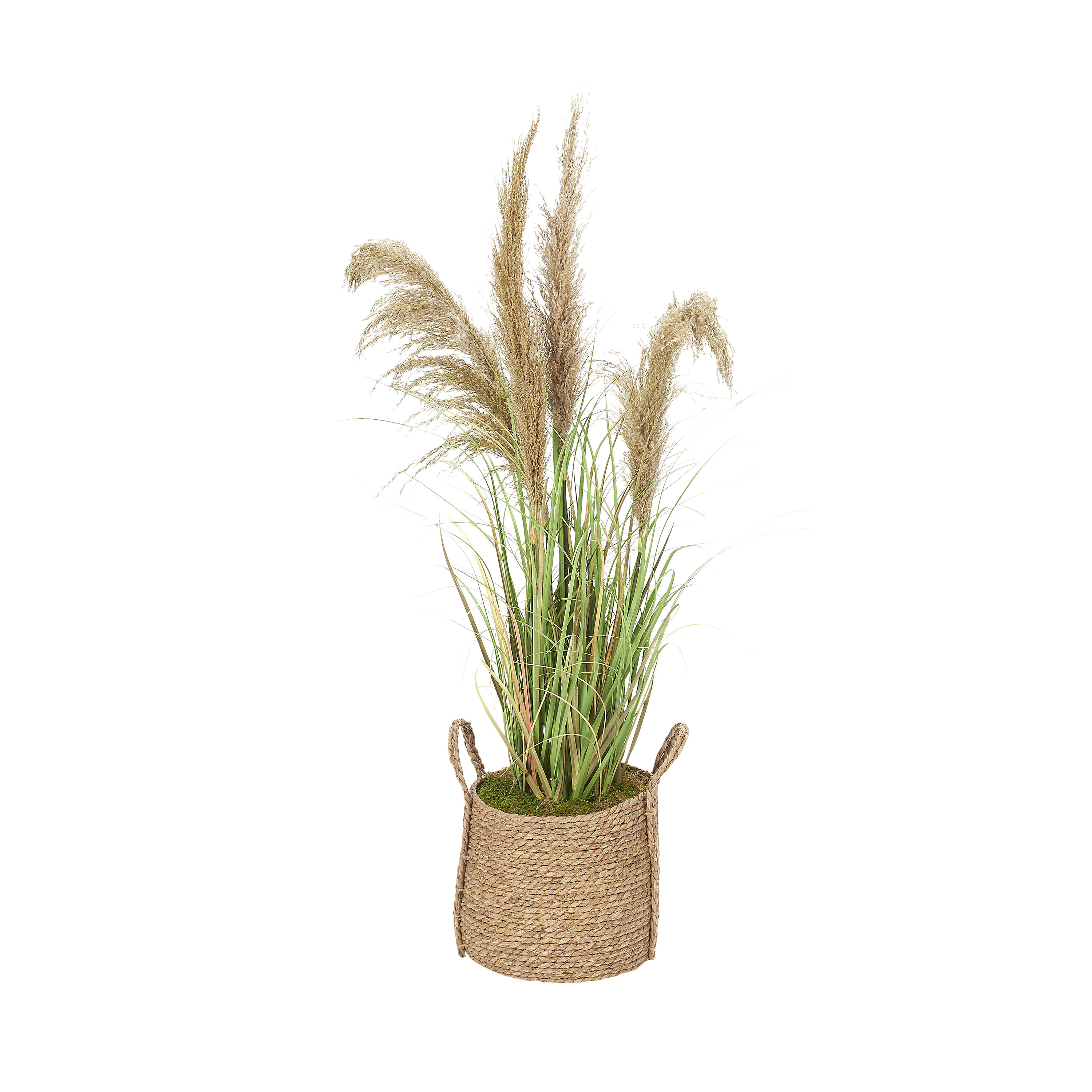 Primrue Reed Grass In Round Natural Basket | Birch Lane