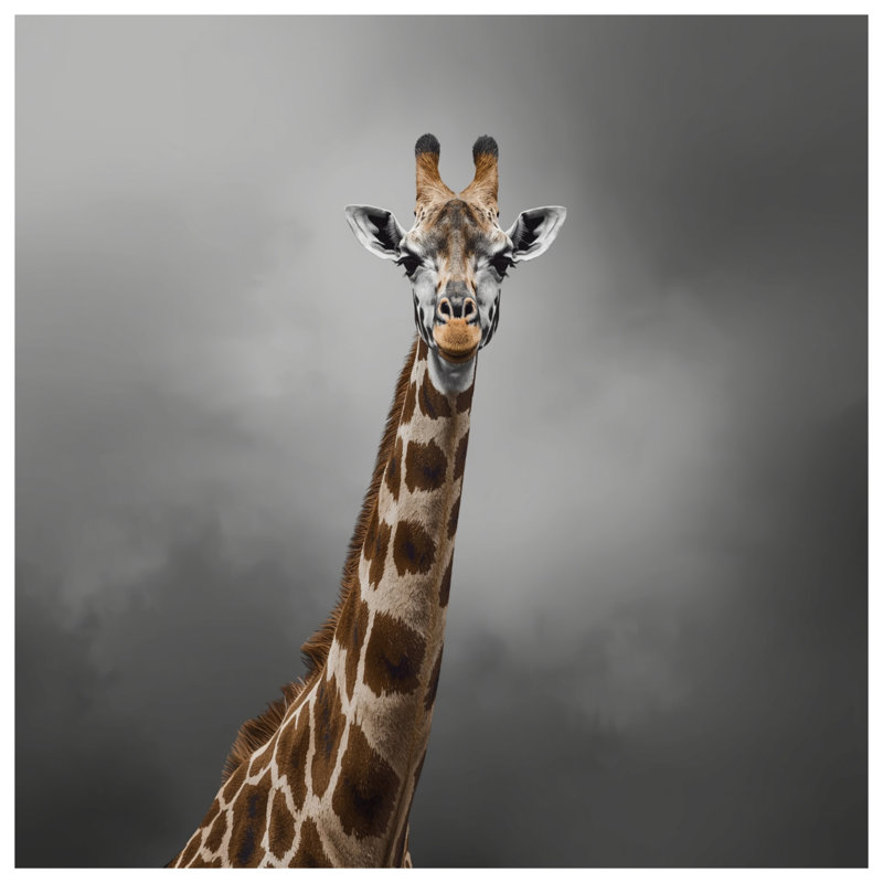 Giraffe With Long Neck Duvet Covers, Queen