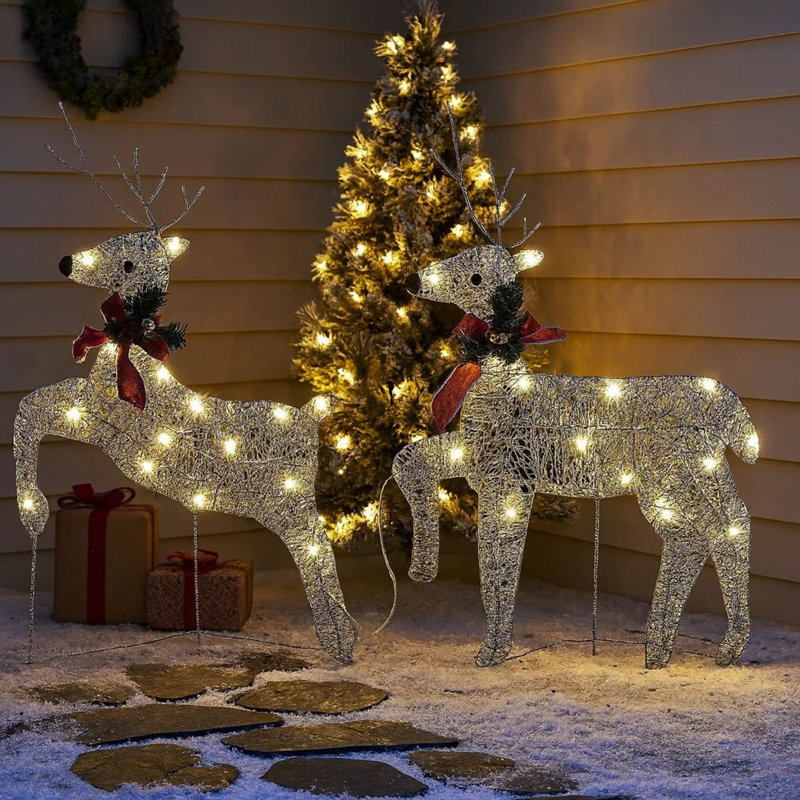 Ensemble de 2 décorations de Noël pour l'extérieur Edy, 40 Leds blanches