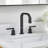 Wishful 8. in Widespread 2-Handle Bathroom Faucet-110897454