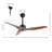 Artisha 50'' Ceiling Fan-684973090