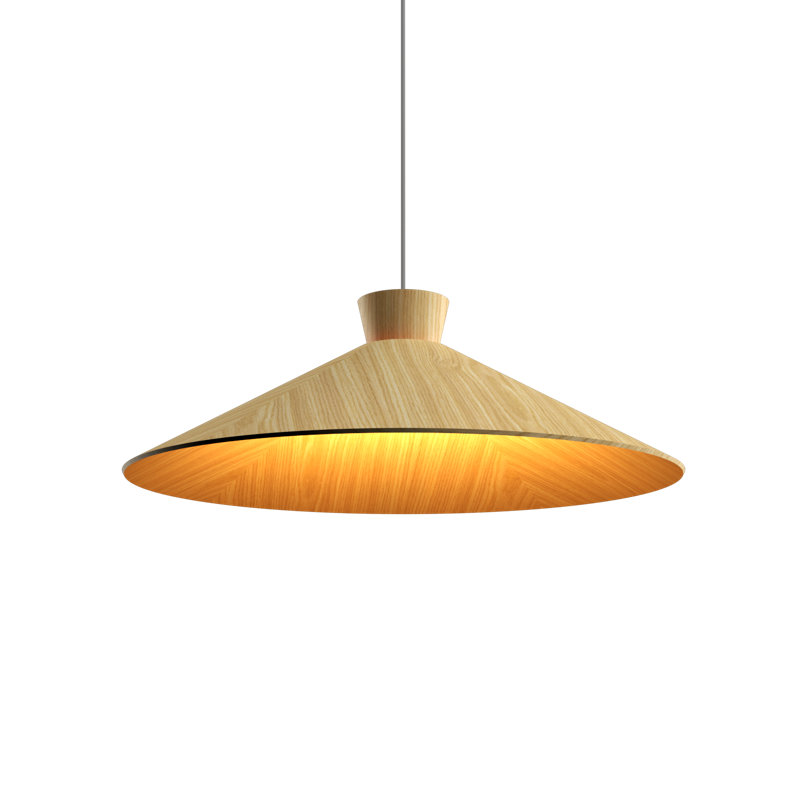 Luminaire conique conique à 1 lumière, Gris anthracite