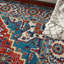 Oriental Area Rug-1667851272