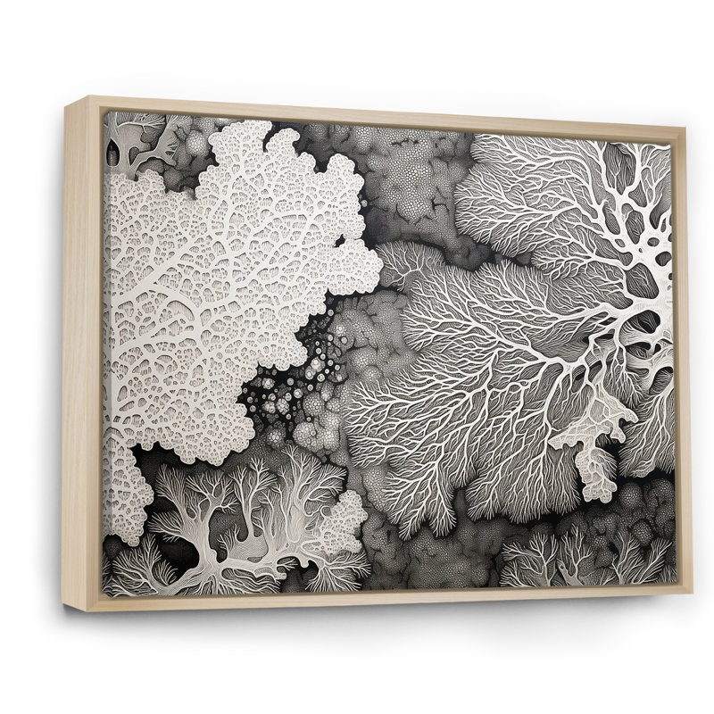 Abstrait corail noir et blanc abstrait II, reproduction sur toile, Cadre naturel flottant, H 24 po x l 32 po x P 1 po