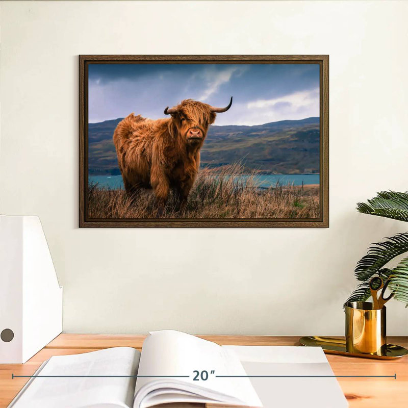 Grande vache Highland, 13 po x 9 po, Cadre flottant en noyer