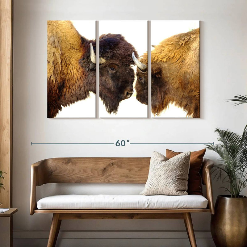 Bramison Bisons I, H 32 po x l 50 po