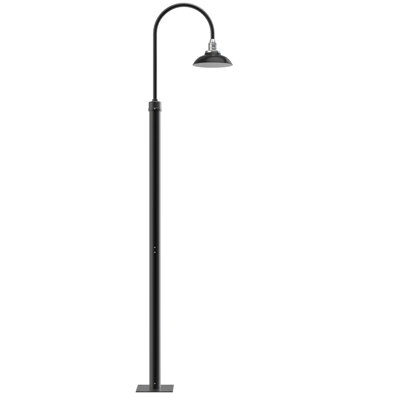 Lampe de poteau pivoine