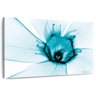 Harnek Aqua Oleander