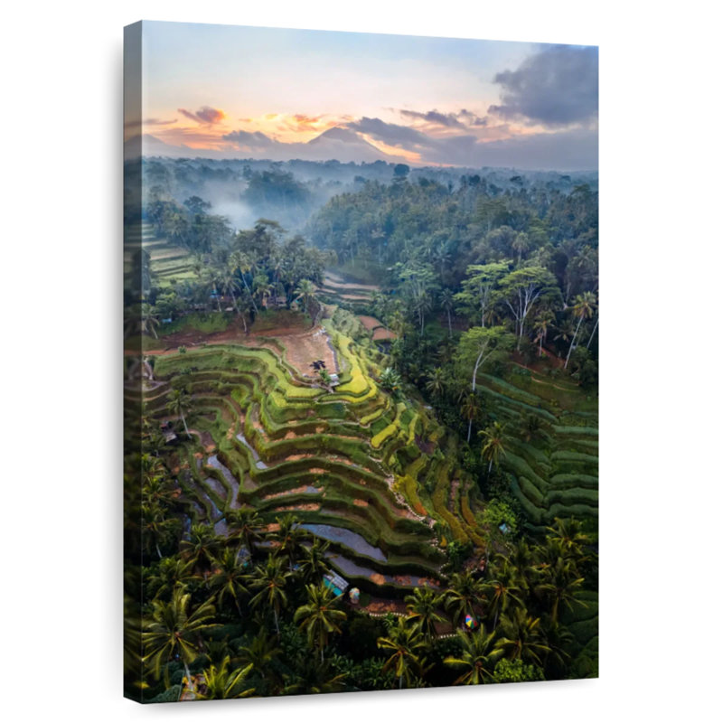 Gillard, rizières en terrasses de Bali I, H 12 po x l 8 po