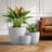 3-Piece Round Concrete Indoor/Outdoor Pot Planter Set-1022063660-1048270918