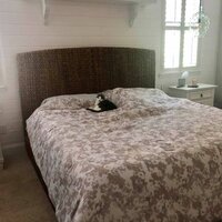 Arleen Rattan Bed Size: California King