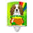Cavalier Spaniel