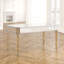 Table de salle à manger rectangulaire Caila