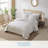 Fronds Tropical Cotton Standard Floral Quilt-110923792-94286786