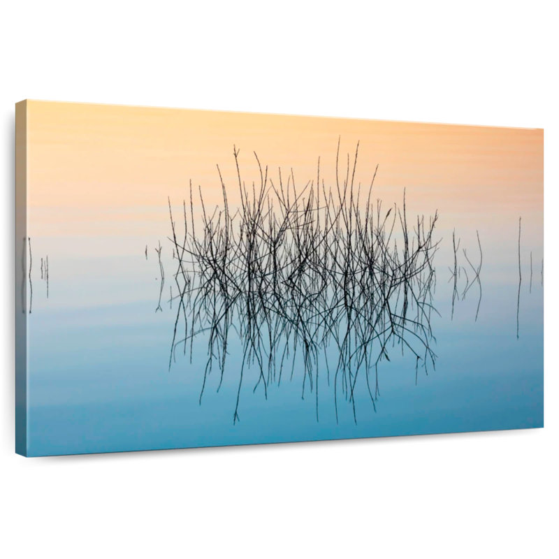 Alvord Marshland Illusions