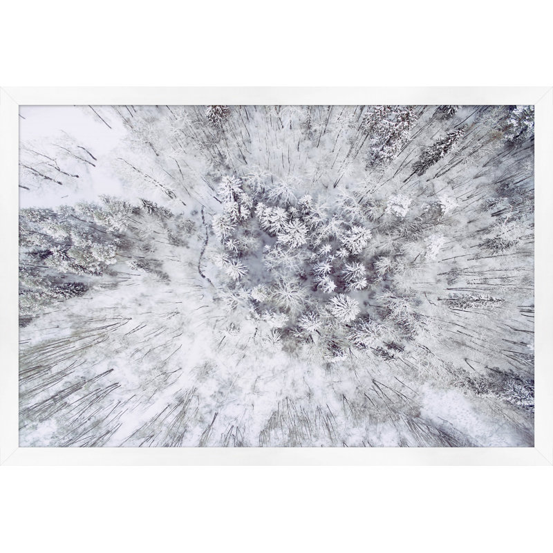 Winter From Above 1 Print by Thom Filicia