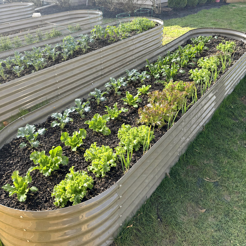 Lot de 2 : Parterre de jardin en acier galvanisé gris, 3,66 m x 0,91 m x 0,46 m, 2