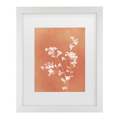 «Amini54», monographie de fleurs orange emmêlées