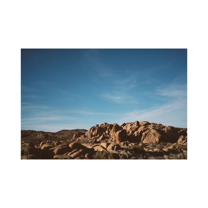 Joshua Tree National Park XXXII by Bethany Young - Print on Canvas, 66.04cm H x 101.6cm W x 1.91cm D, Wrapped Canvas