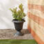 Pot à fleurs en plastique Anouk Classic-1541411013-1541410877