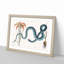 Blue Wampum Snake by Mark Catesby - Picture Frame Painting Print-55679408-55679409
