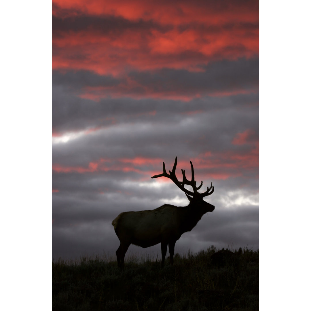 Yellowstone Sonnenuntergang von Skyhobo - Kunstdrucke auf Leinwand ohne Rahmen