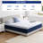 Alwyn Home Bondurant Medium Memory Foam Mattress, No Box Spring, Select Mattress Thickness Only-1804605896