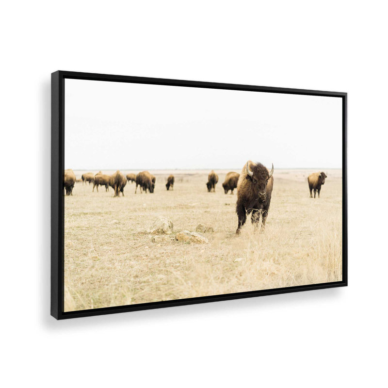 Impression sur toile Wild Plains, Cadre flottant noir satiné, H 24,75 po x l 36,75 po x P 1,75 po