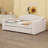 Upholstered Daybed-446633284-446633287