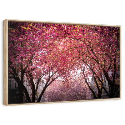 Fleurs de cerisier en fleurs