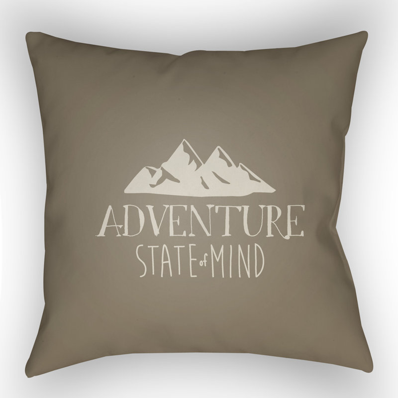 Outdoor Throw Pillow, 18" H x 18" W x 4" D, Gray